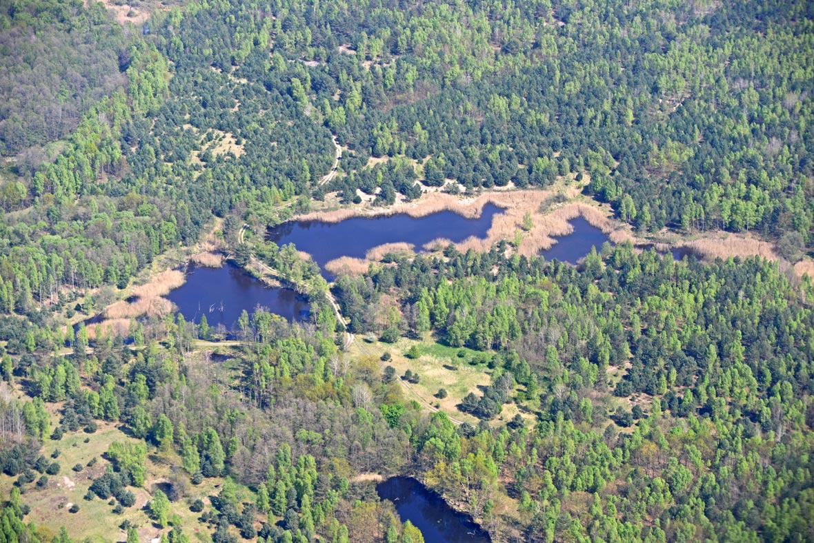 Königsbrücker Heide von der Militärbrache zum Wildnisgebiet