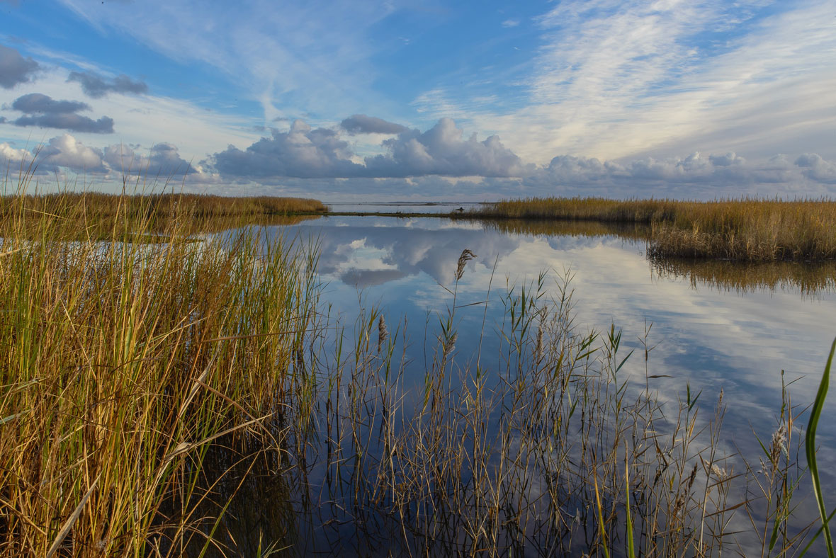 Nationalpark Vorpommersche Boddenlandschaft
