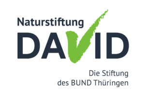 Naturstiftung David Logo