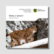 Wildnis in Sachsen