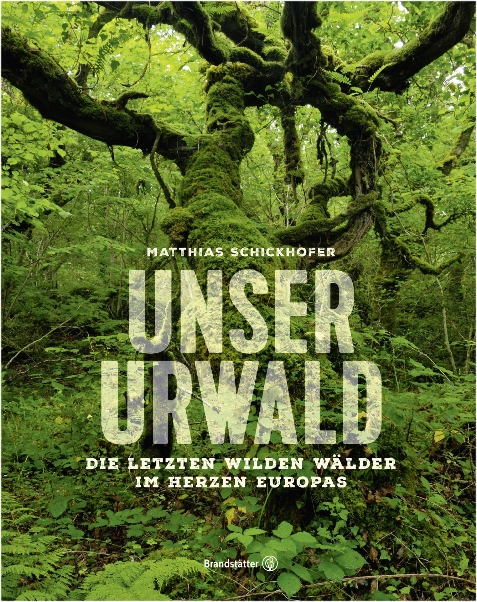 Wildnis Publikationen