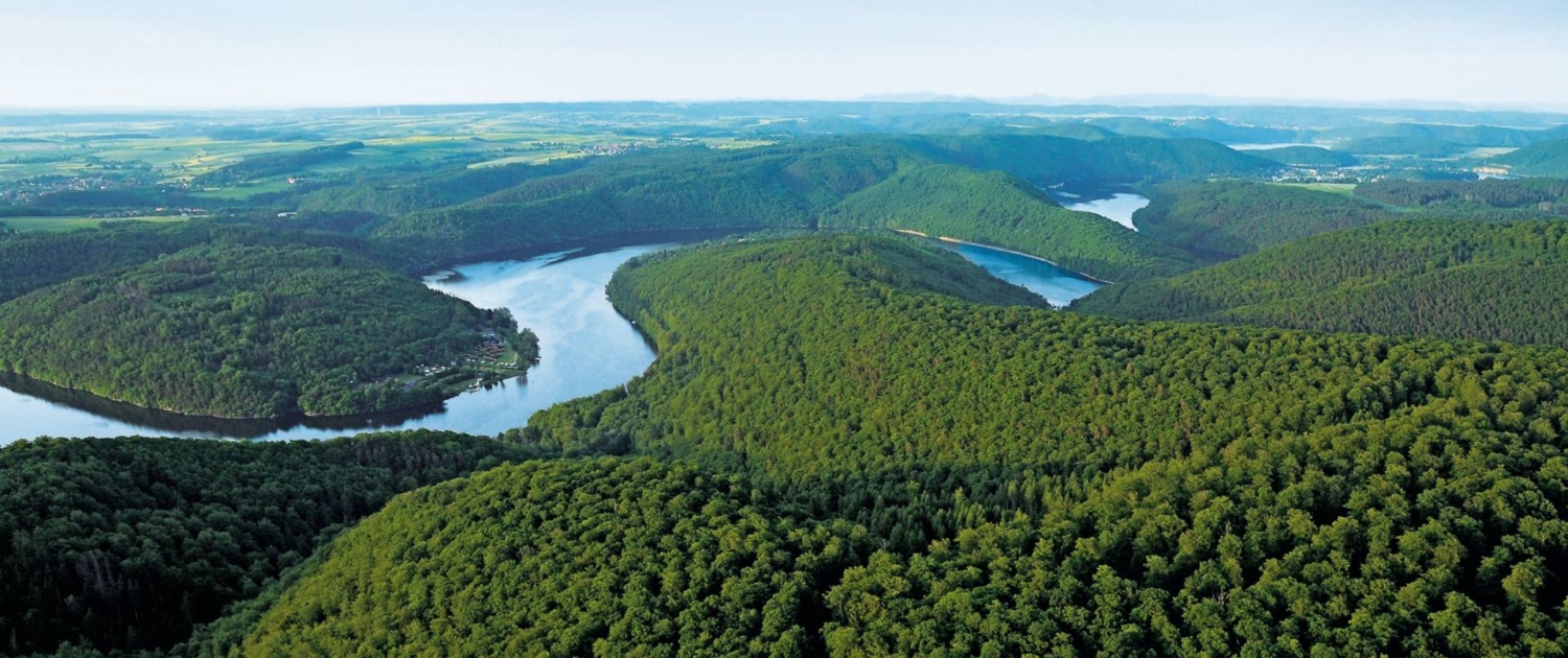 Buchenwälder des Nationalparks Kellerwald-Edersee