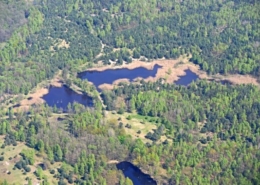 Luftaufnahme des Naturschutzgebietes Königsbrücker Heide