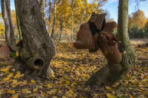 Totholz schafft neuen Lebensraum