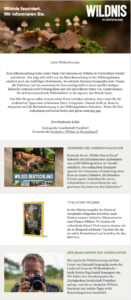 Newsletter der Initiative Wildnis in Deutschland