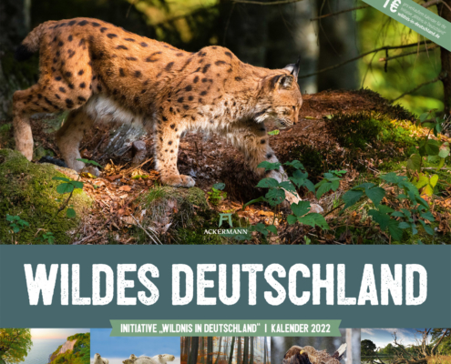 Kalender 2022 "Wildes Deutschland"