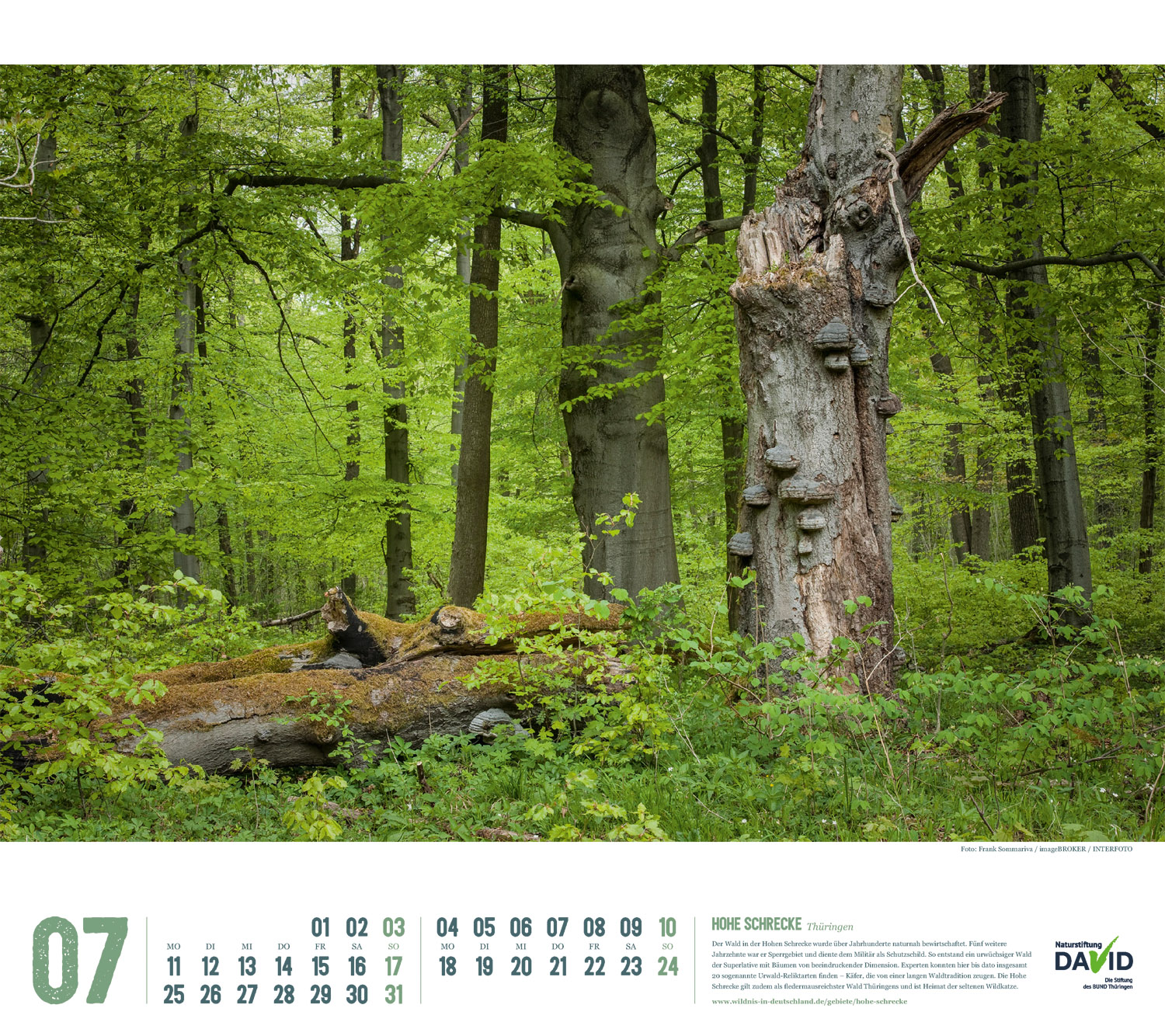 Kalender 2022 "Wildes Deutschland": Hohe Schrecke