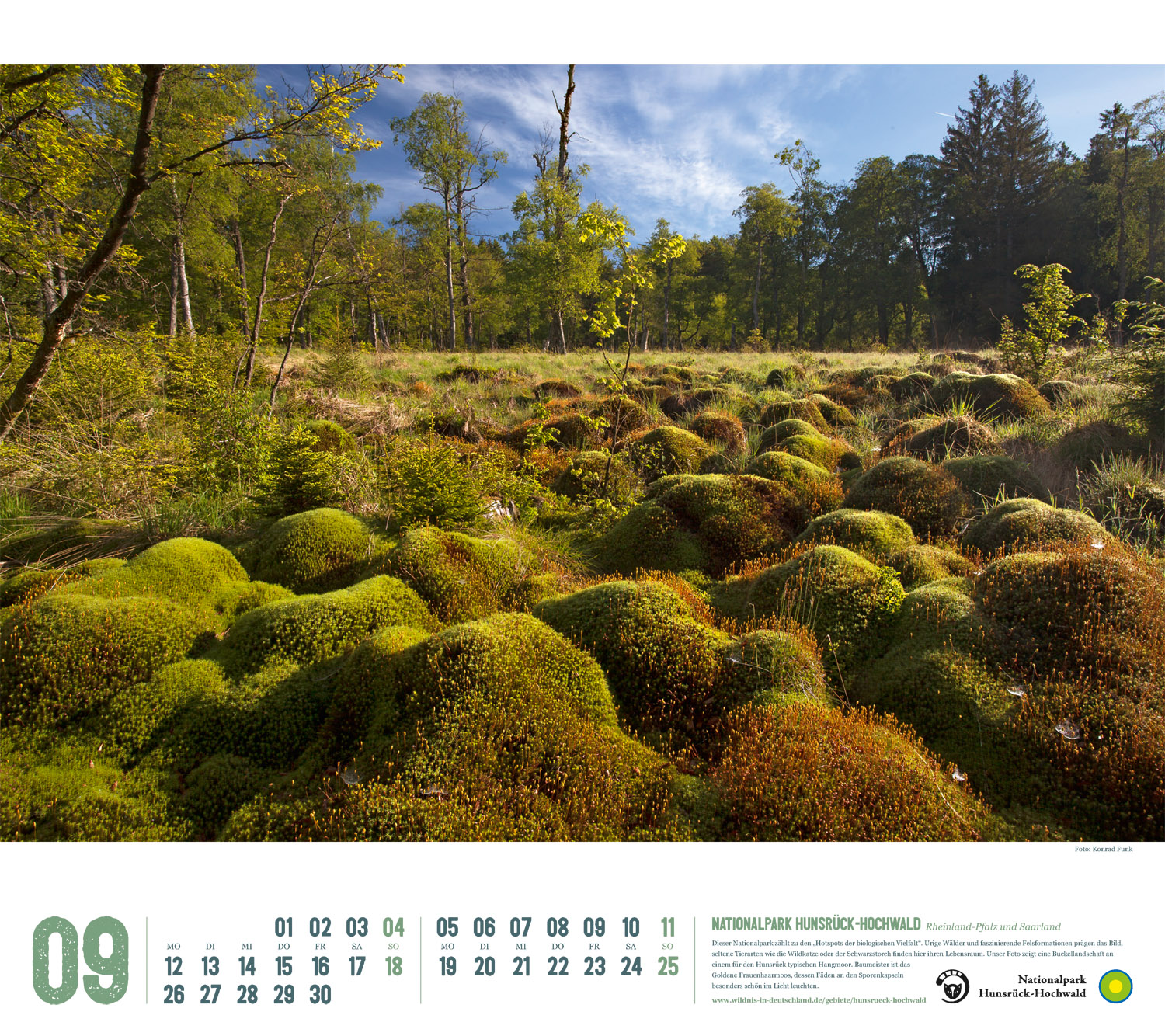 Kalender 2022 "Wildes Deutschland": Hunsrück-Hochwald