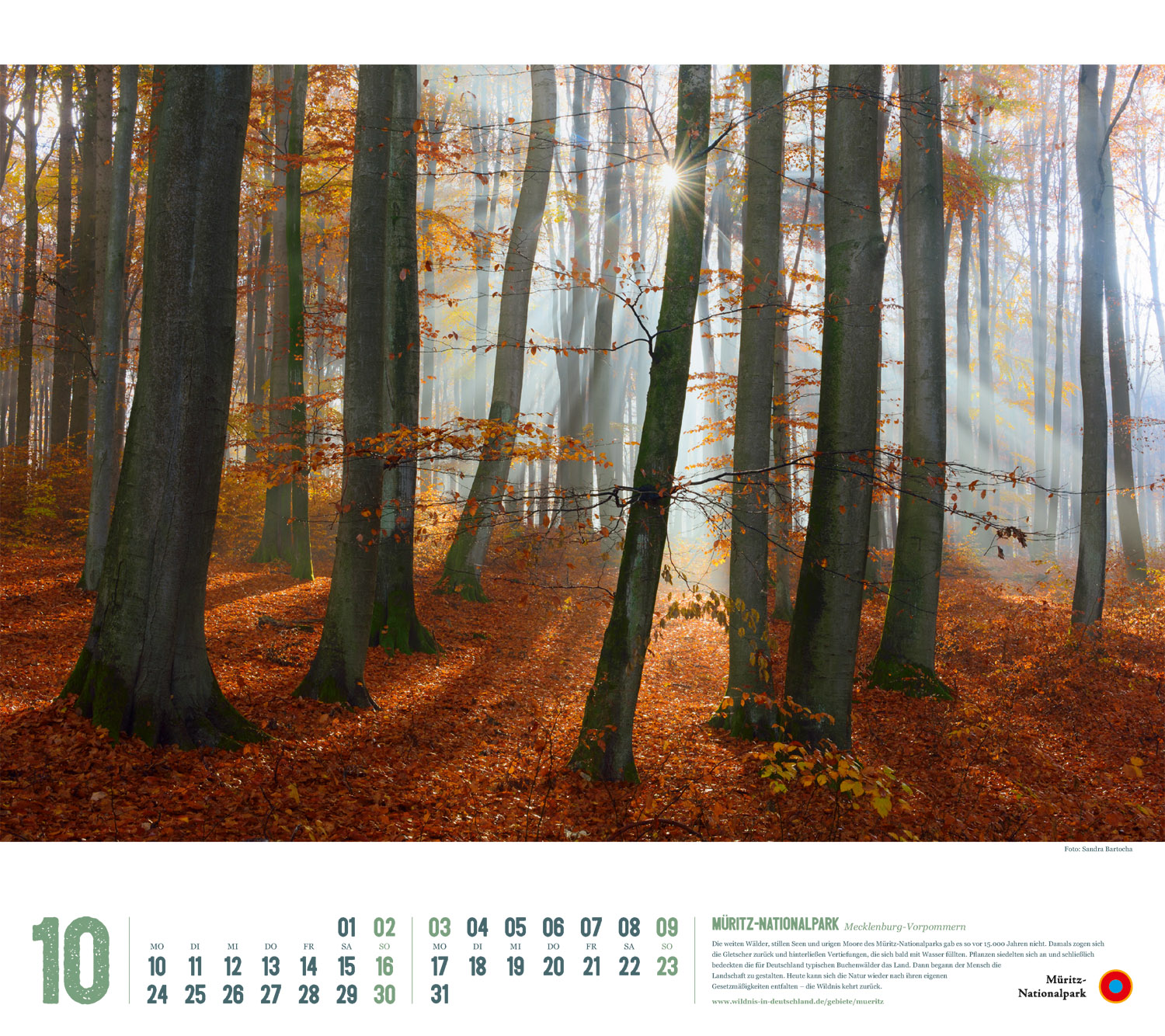 Kalender 2022 "Wildes Deutschland": Müritz