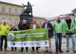 Kampagnenvorstellung: Nationalpark Steigerwald
