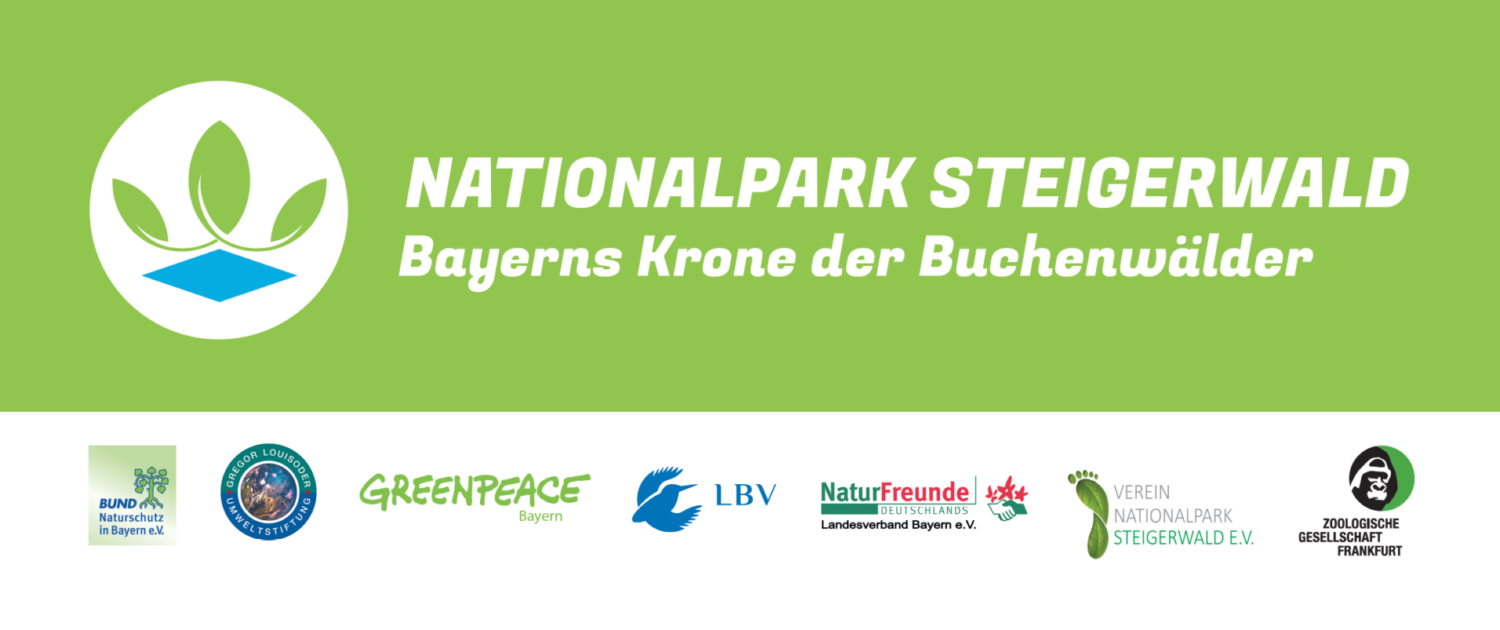 Nationalpark Steigerwald – Bayerns Krone der Buchenwälder