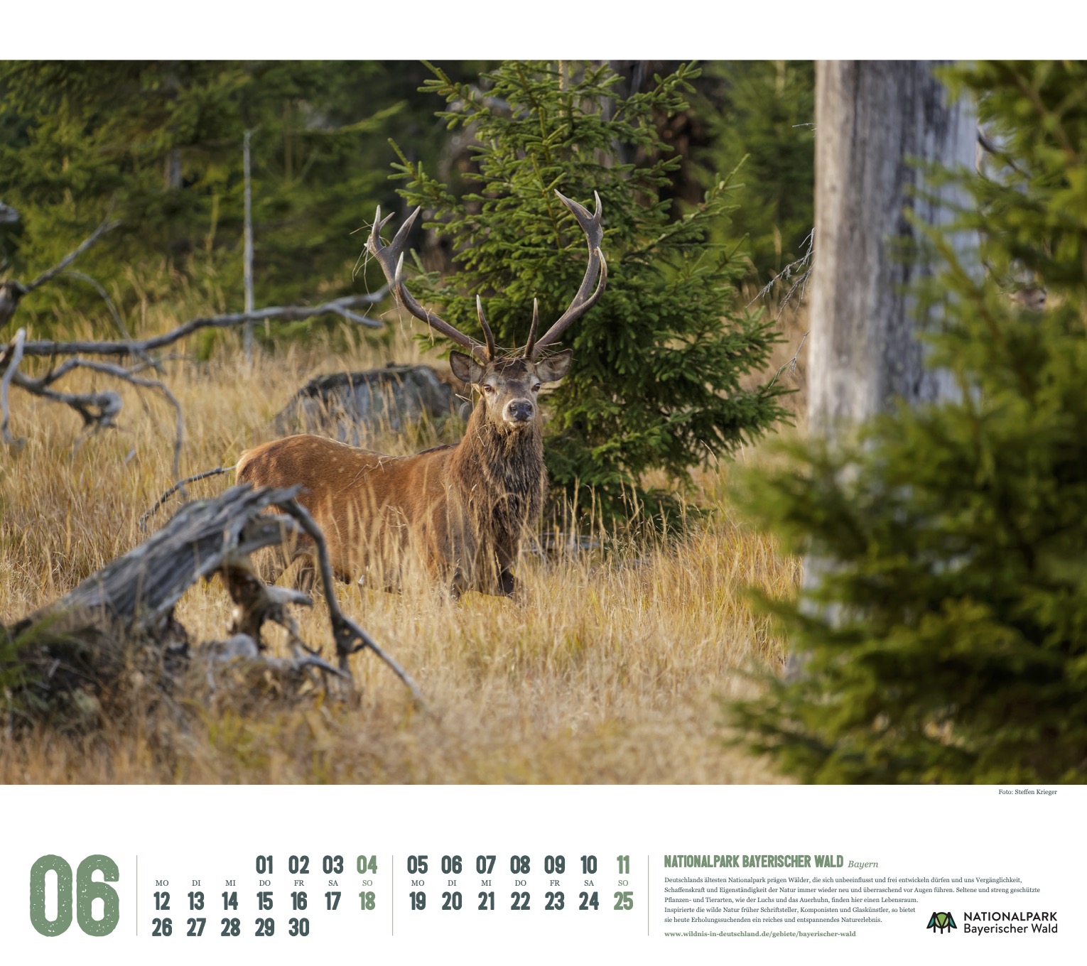 Kalender 2023 "Wildes Deutschland": Nationalpark Bayerischer Wald