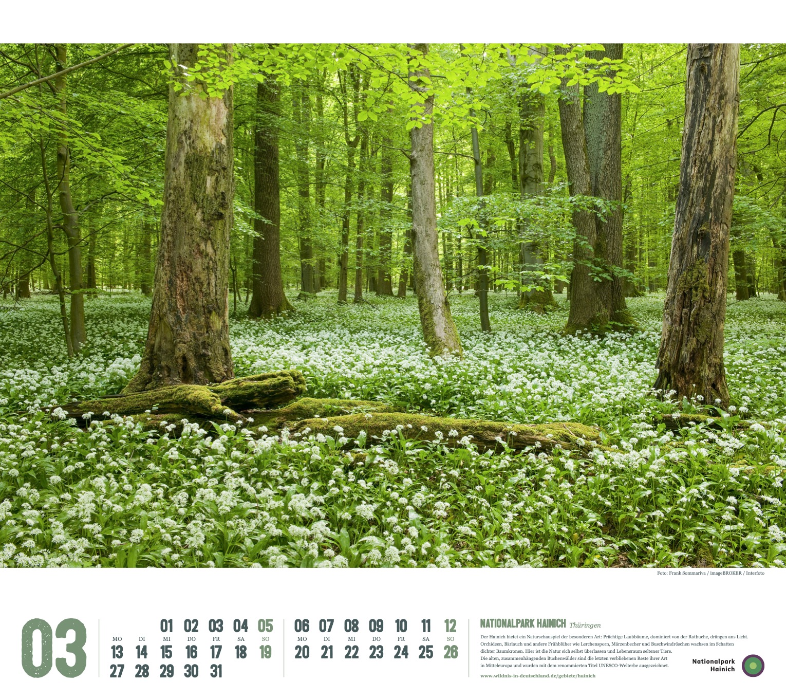 Kalender 2023 "Wildes Deutschland": Nationalpark Hainich