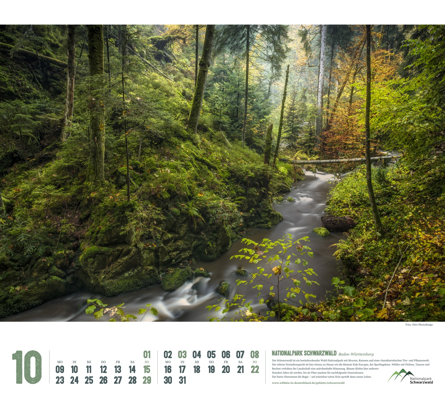 Kalender 2023 "Wildes Deutschland": Nationalpark Schwarzwald