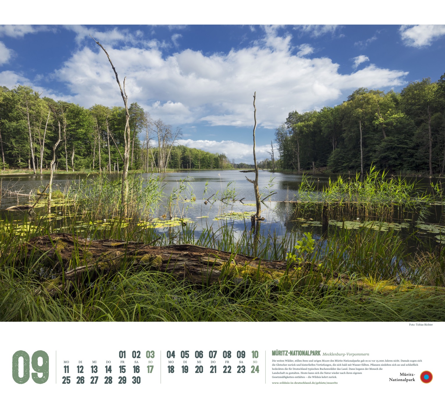 Kalender 2023 "Wildes Deutschland": Müritz-Nationalpark