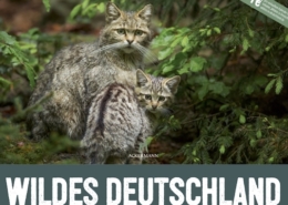 Kalender 2023 "Wildes Deutschland" | ACKERMANN KUNSTVERLAG