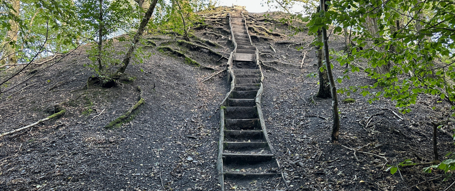 Urwald vor den Toren der Stadt © Claudia Weigel