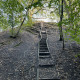 Urwald vor den Toren der Stadt © Claudia Weigel