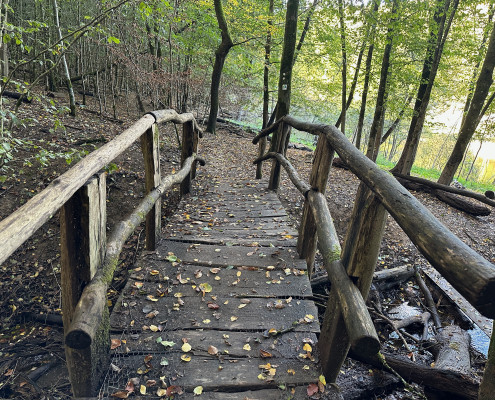 Urwald vor den Toren der Stadt © Claudia Weigel