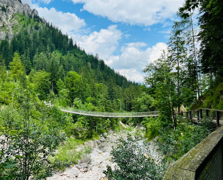 Nationalpark Berchtesgaden © Clara Seipel/ZGF