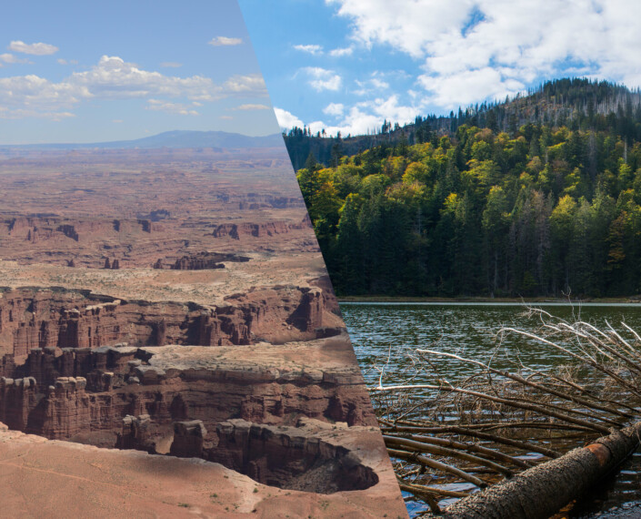 Deutsch-amerikanische Wildnispartnerschaft