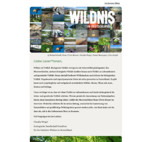 Newsletter: Wildnis ist Vielfalt