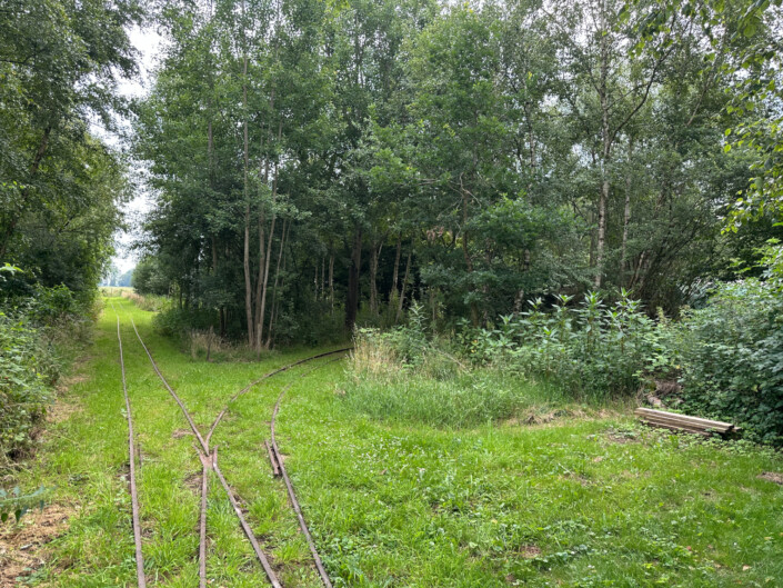 Moorkiekerbahn © Claudia Weigel