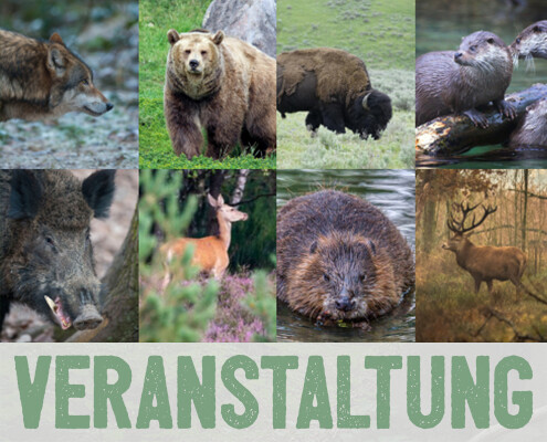 Wildtiermanagement und Wildnis