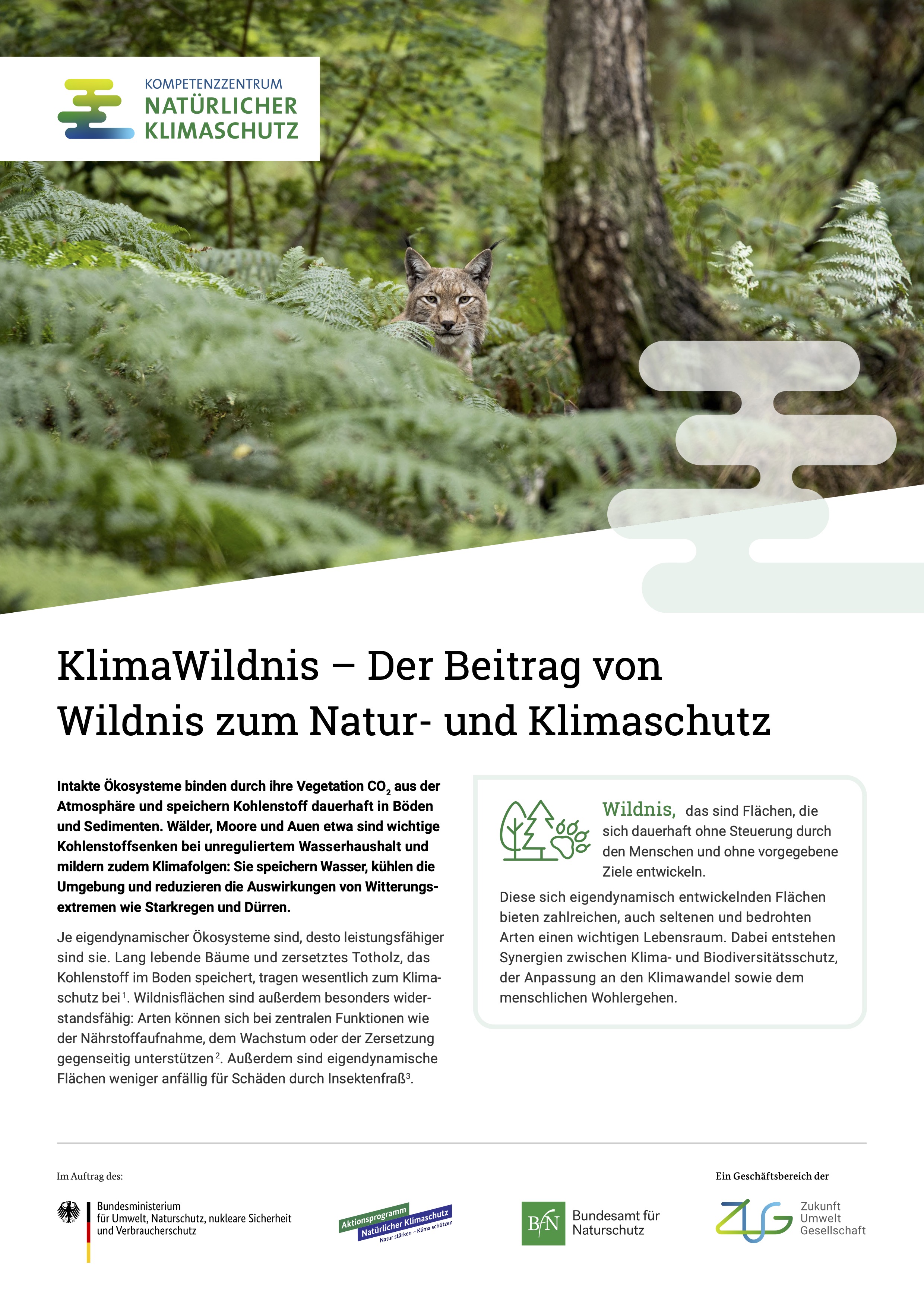 KNK_Factsheet_2025_KlimaWildnis Cover