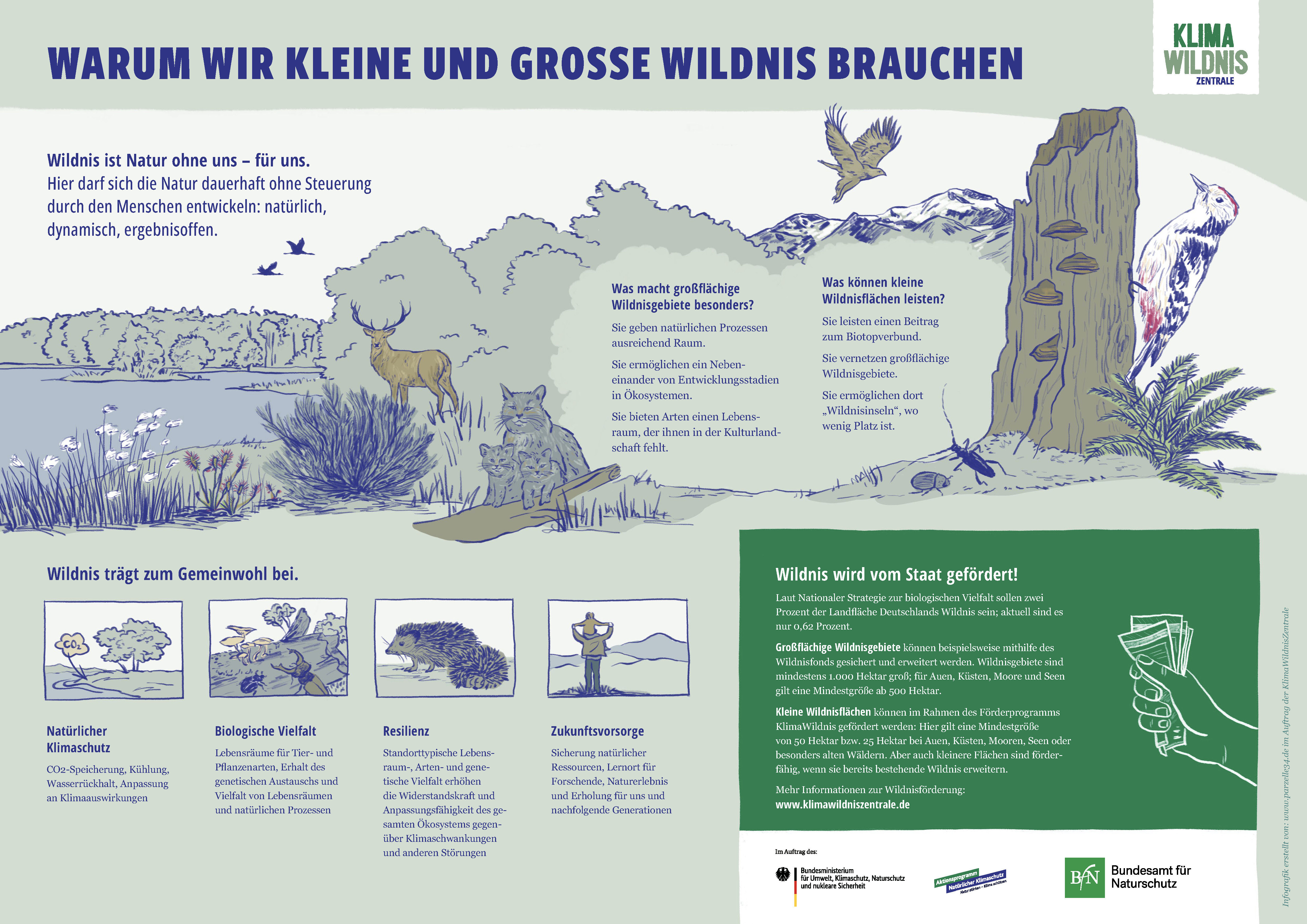 KWZ_Infografik-kleine-grosse-Wildnis