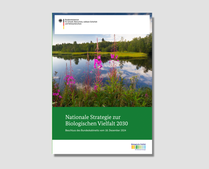 National Strategie 2030 Mockup