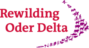 Rewilding Oder Delta Web