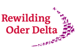 Rewilding Oder Delta web_weiß_300x213