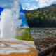 Yellowstone Nationalpark und Nationalpark Bayerischer Wald