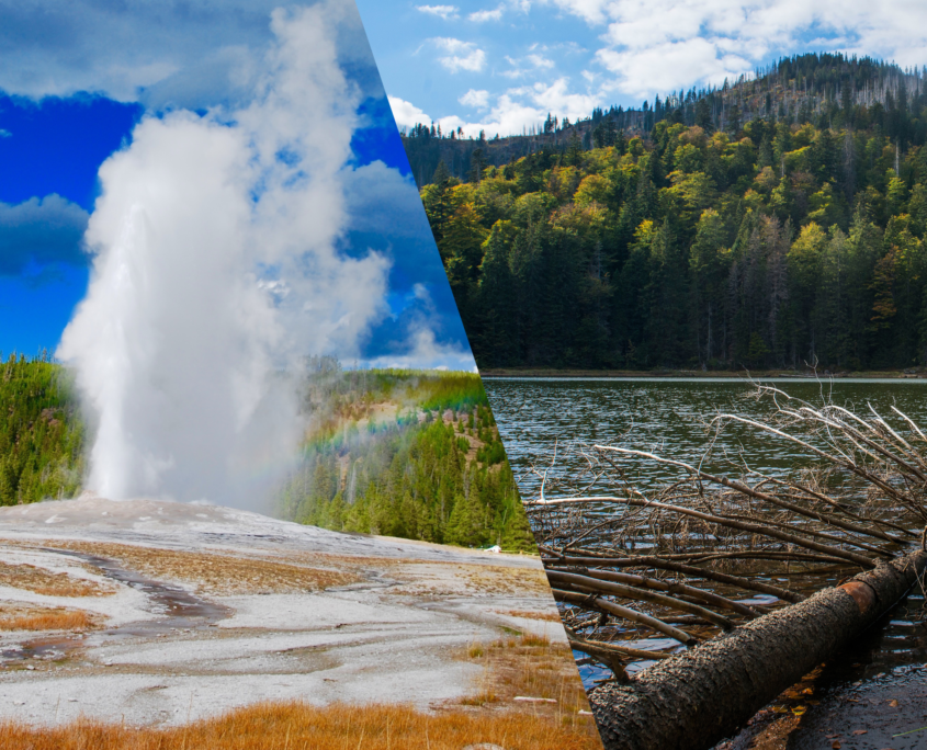 Yellowstone Nationalpark und Nationalpark Bayerischer Wald