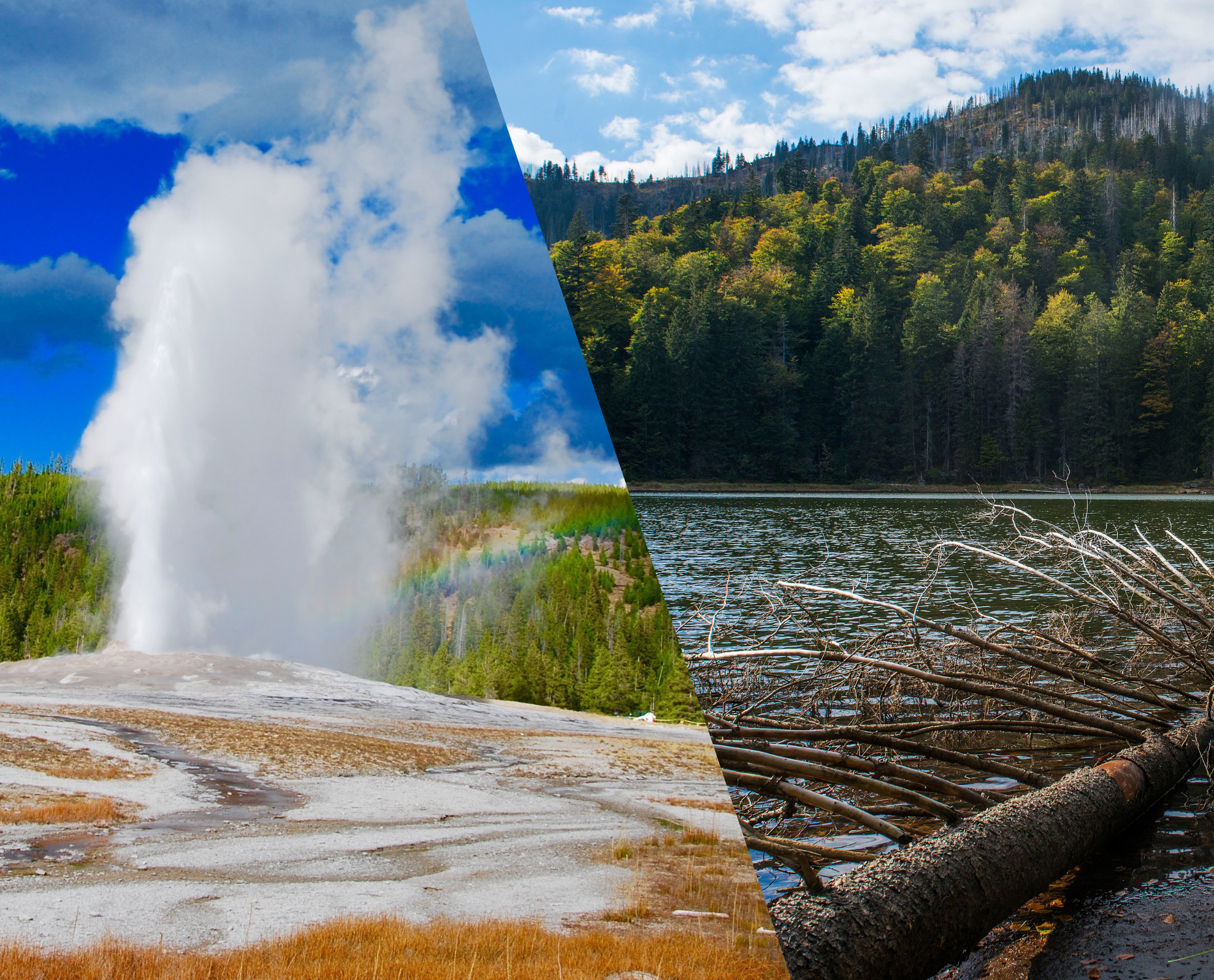 Yellowstone Nationalpark und Nationalpark Bayerischer Wald
