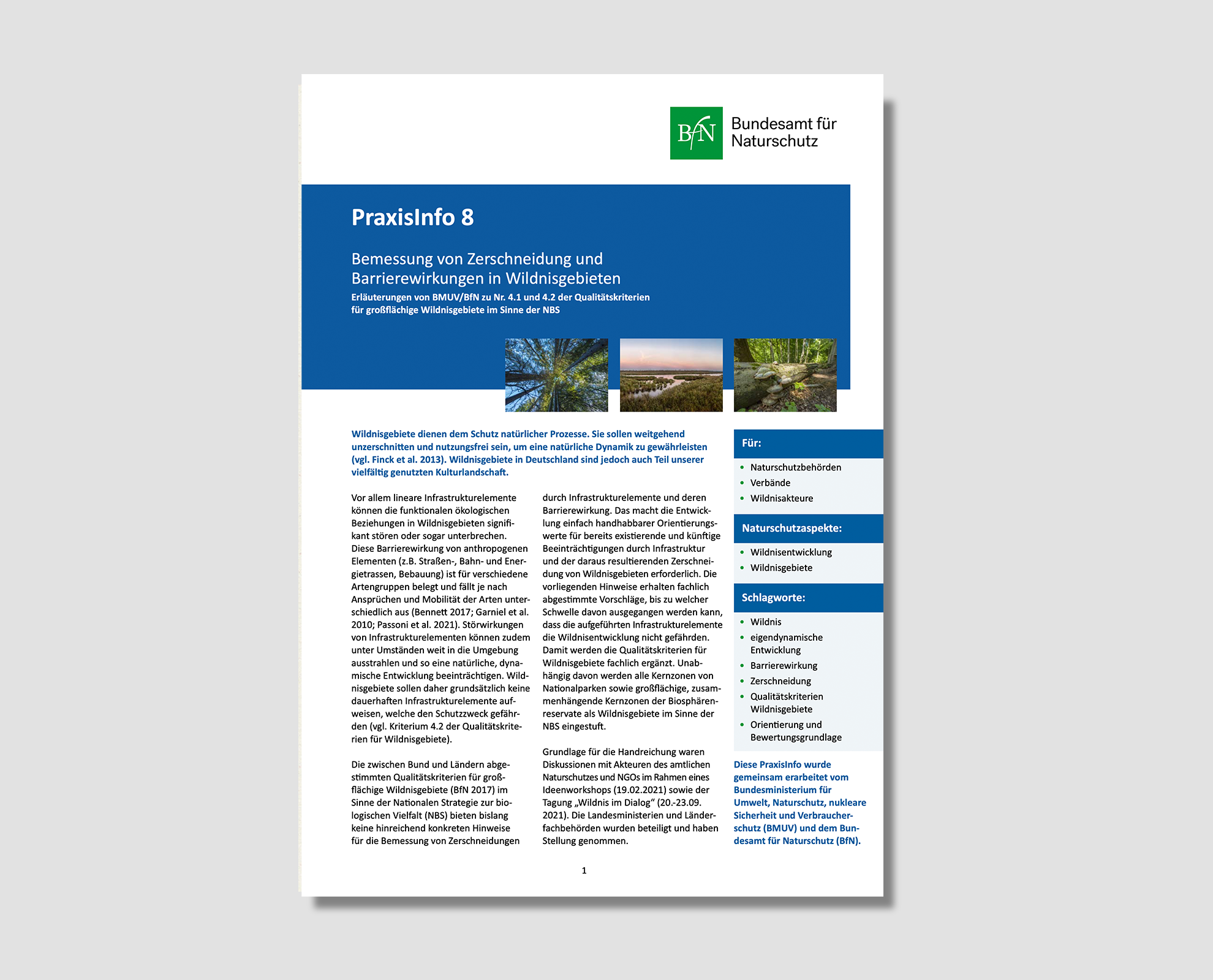 Zerschneidungskriterien Wildnis_MockUp