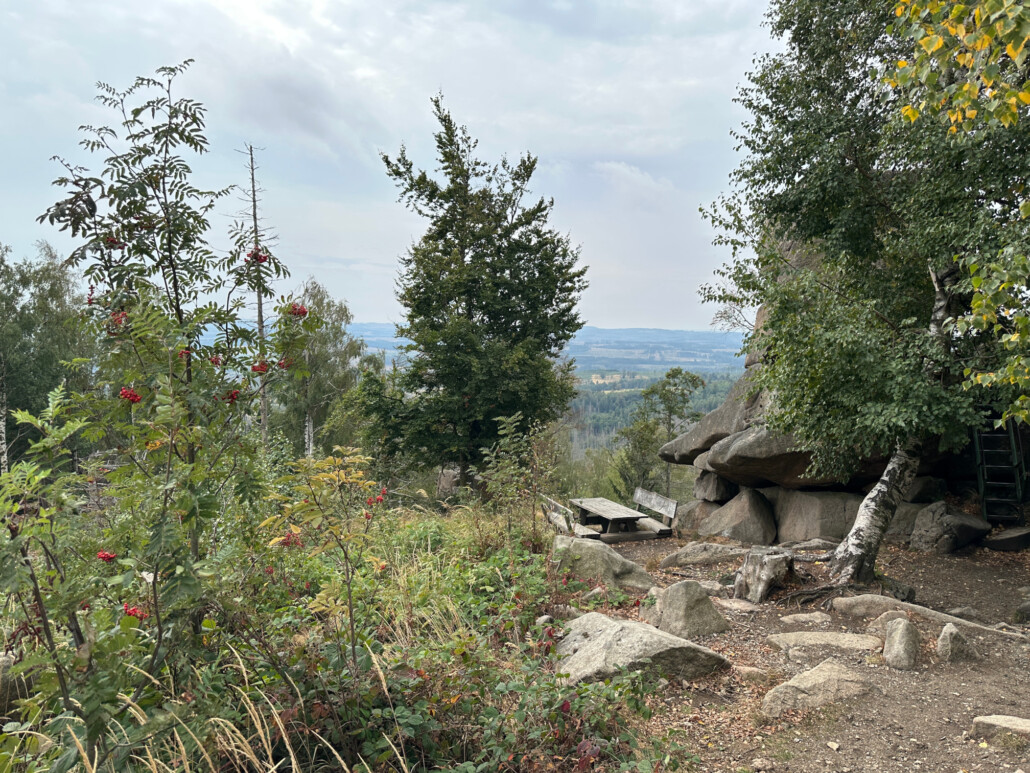 Trudenstein im Harz mit Naturverjüngung