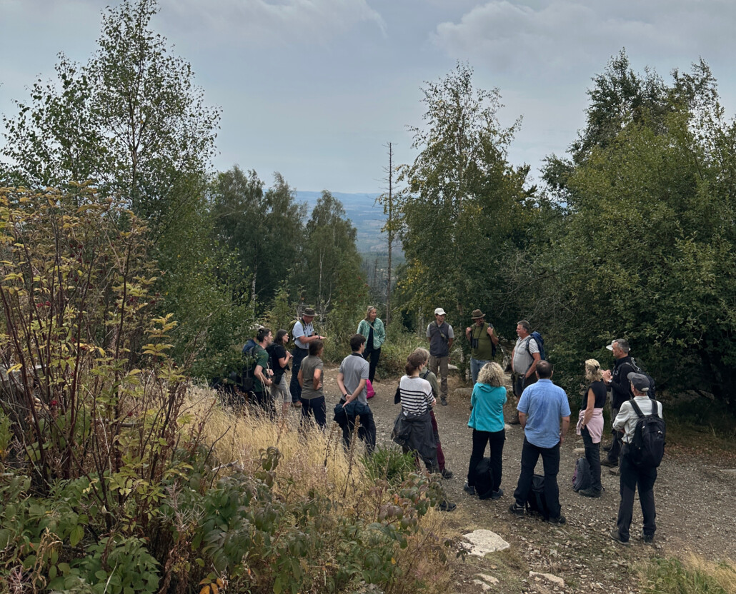 Unterwegs in der Wildnis im Nationalpark Harz_1